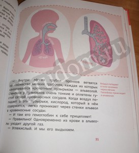 Органы дыхания как устроен человек детские энциклопедии с Чевостиком